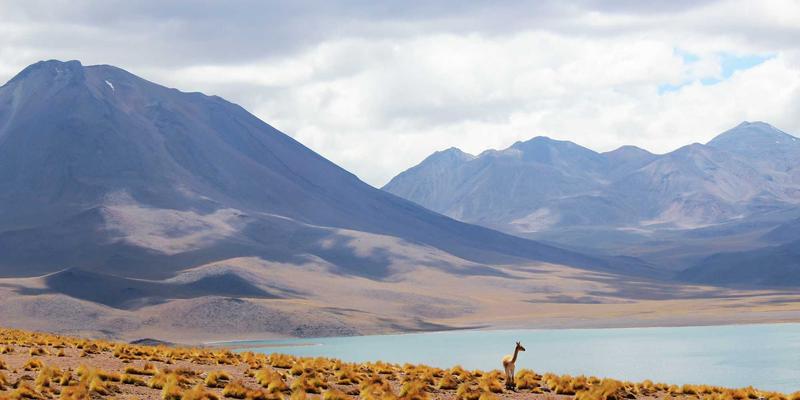 普陀山一日游终极攻略：本地人私藏的路线规划与时间秘籍