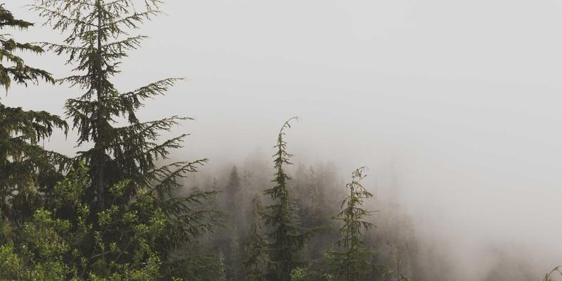 普陀山海上丝绸之路遗迹寻踪:探秘古码头、航标与千年传说