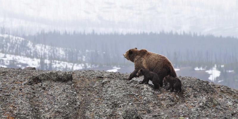 普陀山禅意民宿精选 | 住进古村落与山海间，开启一场静心之旅