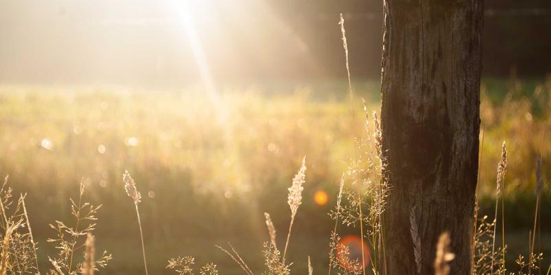 朝圣普陀山:南海观音立像的传奇建造与深度朝圣全攻略
