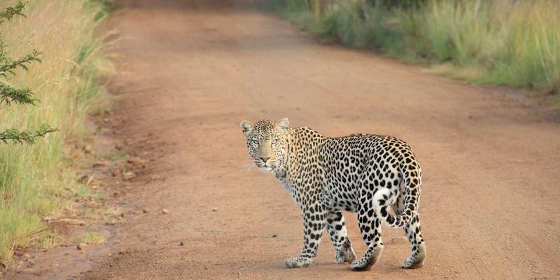 海天佛国的永恒印记：探秘普陀山历代高僧舍利塔林，寻访宗门法脉与建筑之美