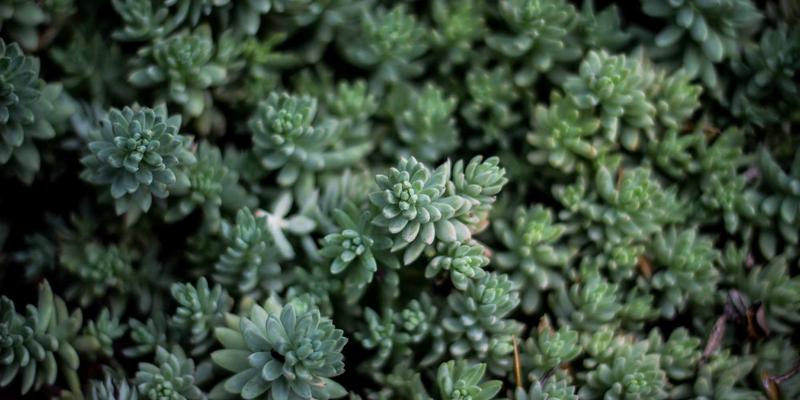 舟山普陀 | 不止朝圣，更是一场建筑美学巡礼：细品普陀山寺院的飞檐斗拱与彩绘藻井